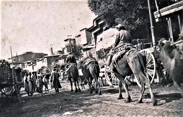 1925 Предпл Ташкент Улица Шейхантурская Предпл