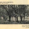 1925 Ташкент Парк Федерации (Бывший Александровский) Место Митинга 12 Сентября 1917 года (Избрание 1-го Ревкома)
