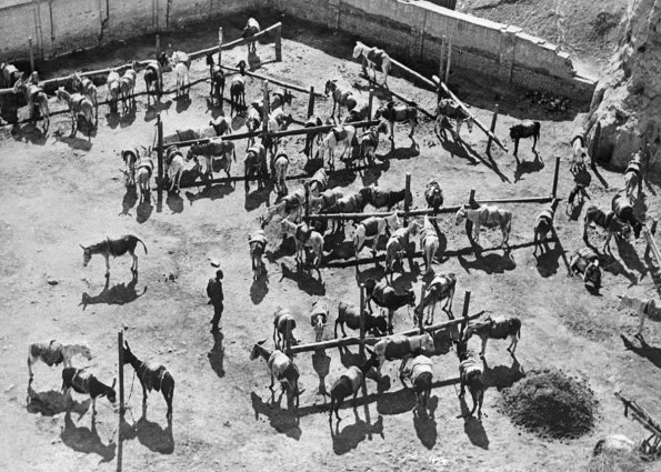 1926 Ташкент Гужевая Стоянка у Караван-Сарая