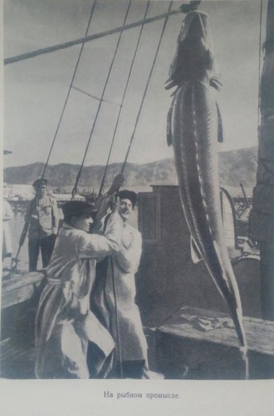 183