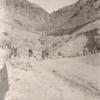 331