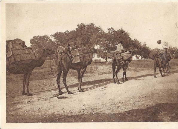 1910 Предпл Туркменистан Караван