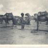 1930 Предпл Туркменистан Верблюд и Хозяин