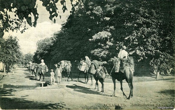 Левашевская улица