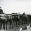 1942 Геок-Тепе Красный караван с хлебом из аулсовета Геокча Ашхабадского района для сдачи государству