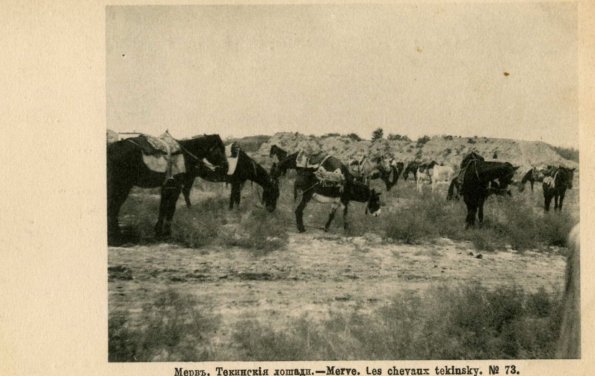 Мерв