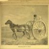 1873 Хива Супружеская Пара на Повозке Гаврюра из Немецкого Географического Журнала