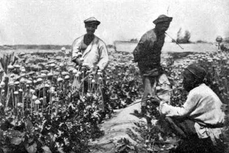 1875 Issik-Kul Opium Plantation