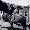1876-1897 Noble Bukharan, Leon Barschevskiy