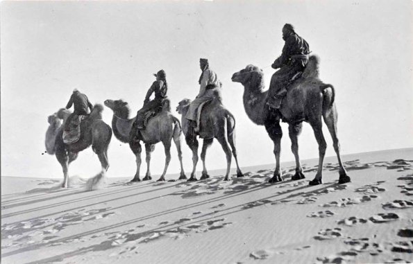 1893 Sven in Desert