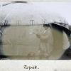 1897 Киргизы - Фотографии из Путешествия Члена Французского Географического Общества Поля Лоббе в Туркестан 1 ‎