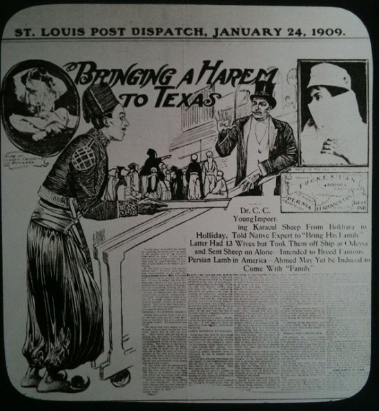 1900 Bringing a Harem Article in American Newspaper