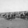 1900 Buzkashy 6