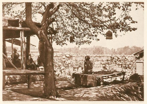 1900 Chayla