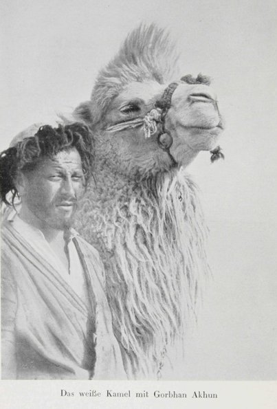 1900 Gurban Akhun and Camel from Gunnar Jarring CA Collection