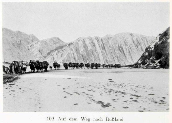 1900 Karawan 2