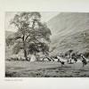 1900 Pamirs Getting Ready for Crossing the Brook with Sals