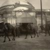 1900 Samarkand Chorsu Karavan