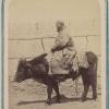 1900 Samarkand Matador