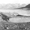 1902 Border Unit