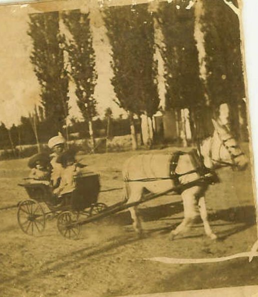 1902 Tashkent Urgutsjaya Ulitsa (probably) 1