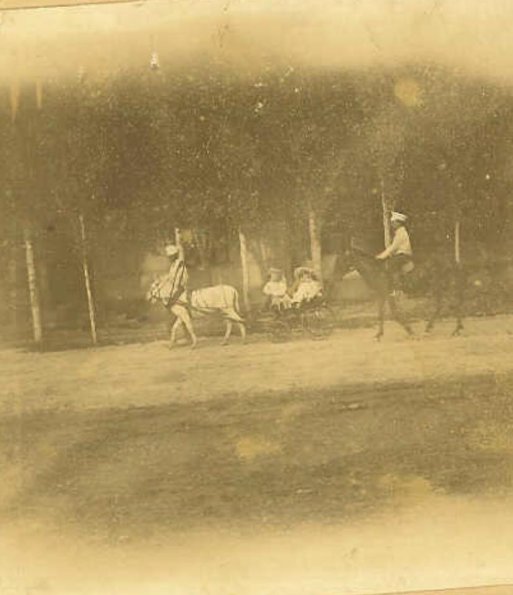 1902 Tashkent Urgutsjaya Ulitsa (probably) 2
