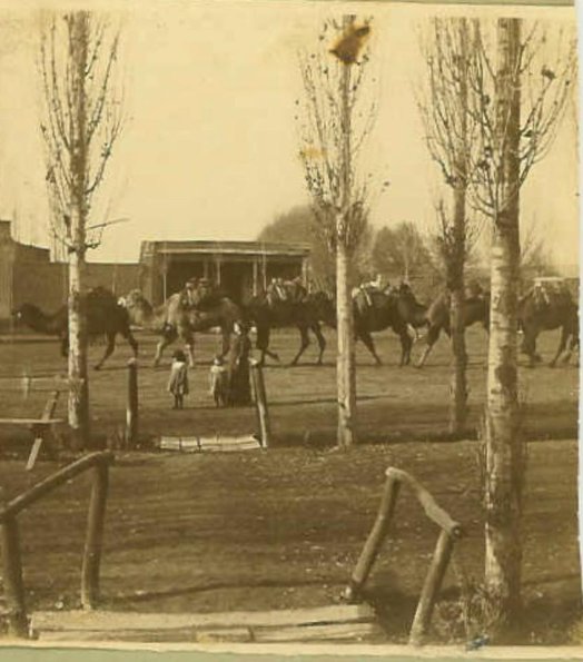 1902 Tashkent Urgutsjaya Ulitsa (probably) 8