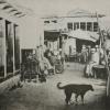 1903 Бухара Около Ляби-Хауза