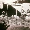 1903 Murg Bazar