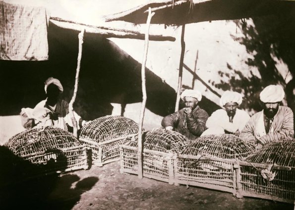 1903 Murg Bazar