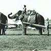 1903 Pamirs Big Game Episode 1