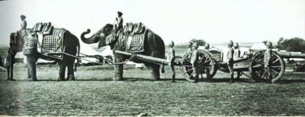 1903 Pamirs Big Game Episode 1