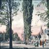 1906 Ташкент Почтовая Открытка Ул Московская