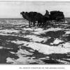 1906 Sven Gedin in Kyrgyz Steppes