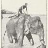 1909 Kabul Logofet Elefant Taking Bath