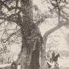 1909 Logofet Platan Medrese near Samarkand