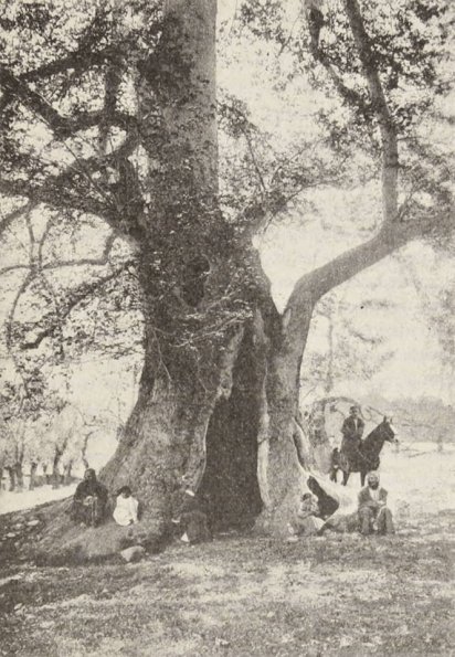 1909 Logofet Platan Medrese near Samarkand