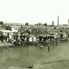 1909 Tashkent