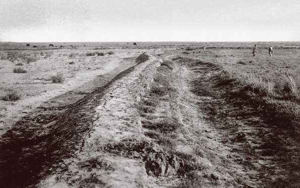 1910 Бухара Соляная Пустошь в Предместье Города