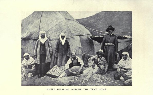 1910 Кыргызстан Стрижка овец возле палаточного домика (юрты)