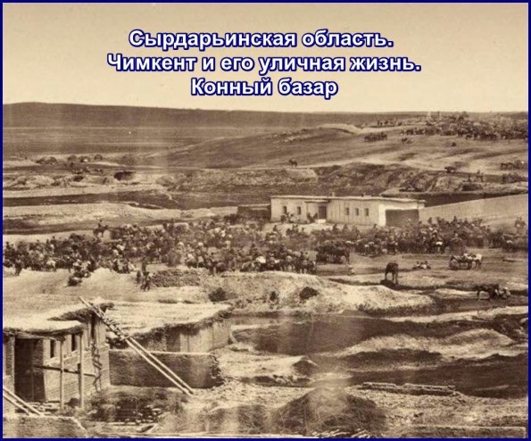 1910 Предпл Сурдарья Чимкент Конный Базар 1