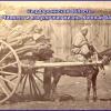 1910 Предпл Сурдарья Чимкент Конный Базар 2