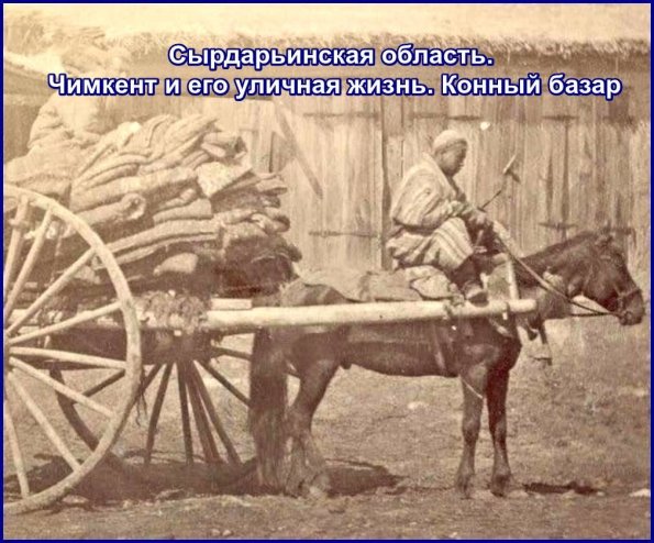 1910 Предпл Сурдарья Чимкент Конный Базар 2