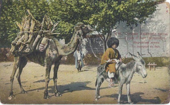 1910 Предпл Туркменистан Перевозка Дров