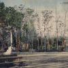 1910 Предпл Фергана Бюст Скобелеву