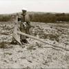 1910 Dekhan with Plough