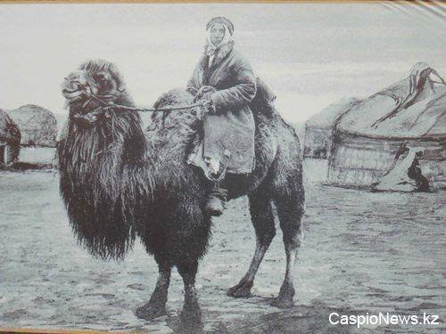 1910 Kazakh Lady on Camel