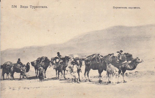 1910 Kyrgyzs Moving, Camels