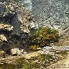 1910 Road to Firuza