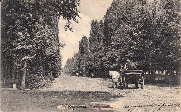 1910 Tashkent Kaufmann Ave